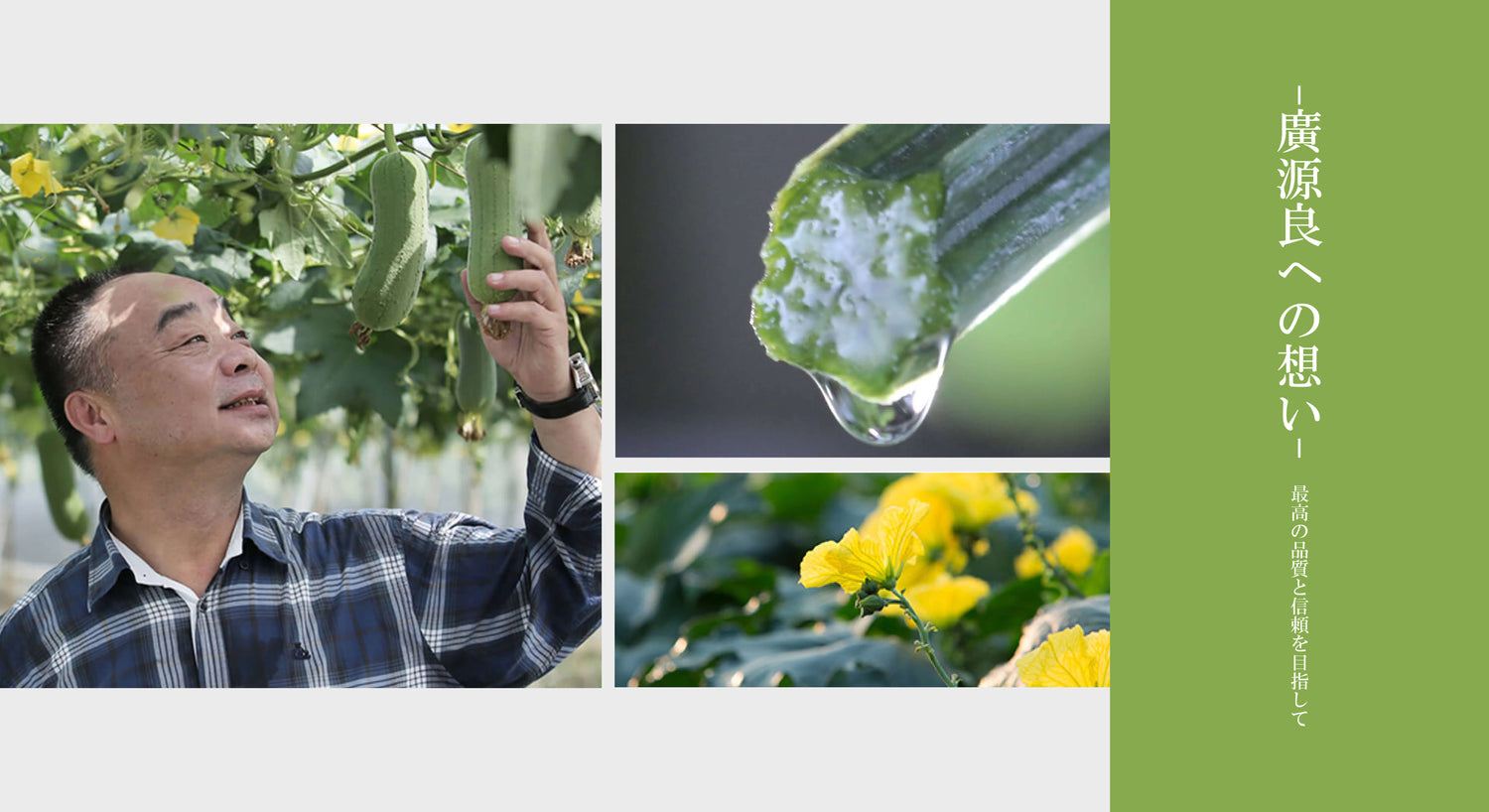 廣源良(コーゲンリョー)