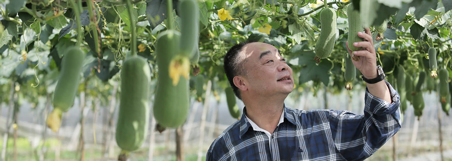 廣源良(コーゲンリョー)